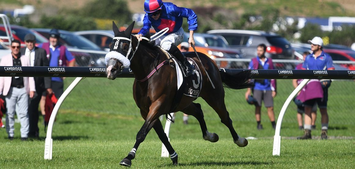 Marsh savours another big day out at Ellerslie