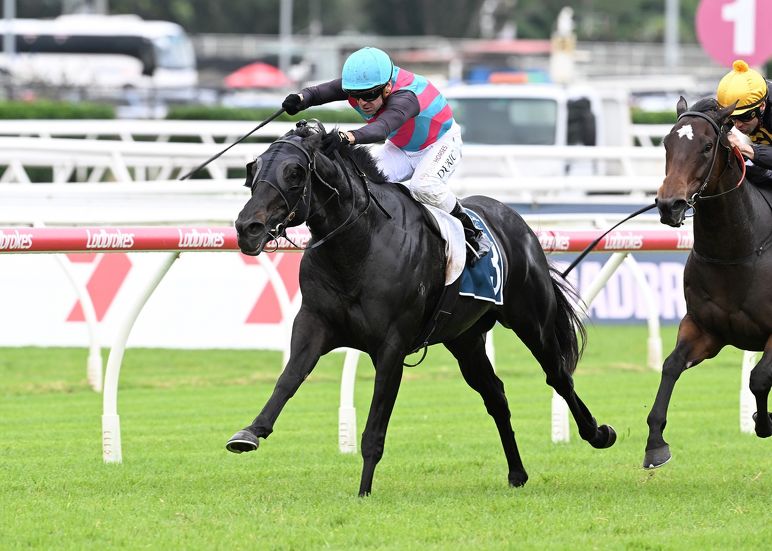 Westbury stallions poised for Queensland Carnival impact