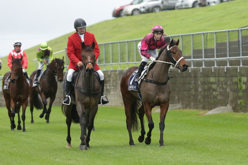 Dan Vegas puts the spotlight back on Totara Park