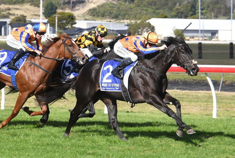 Te Akau stars enjoying deserved time out