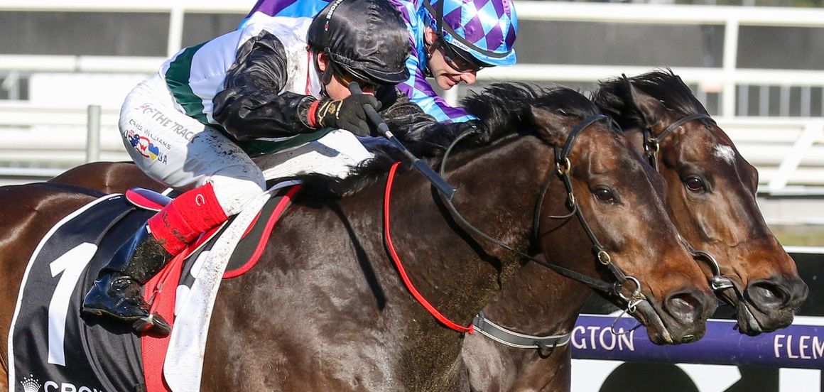 Magnificent Mr Brightside heads Kiwi clean sweep in Makybe Diva