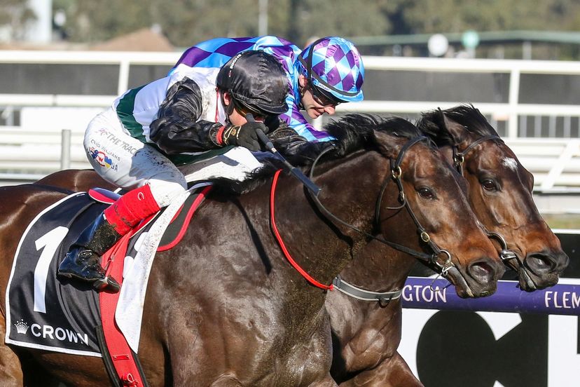 Magnificent Mr Brightside heads Kiwi clean sweep in Makybe Diva